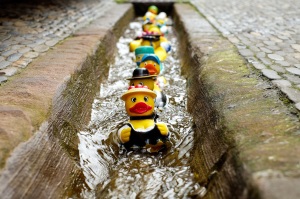 rubber-duck-bath-duck-toys-costume-106144